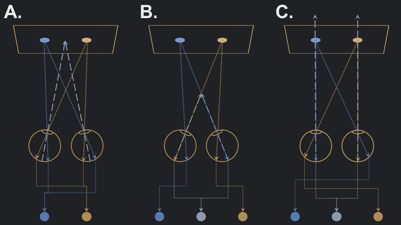 Diagrama explicativo da visão cruzada e paralela para percepção de estereogramas