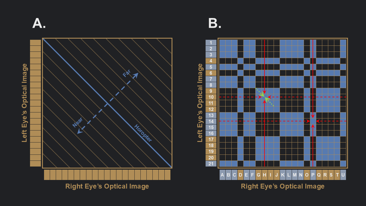 Schematic representation of the matrix to which the cooperative algorithm will be applied